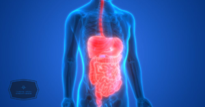 Read more about the article 6 Quick ways to improve your digestion