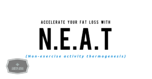 Read more about the article What is N.E.A.T?