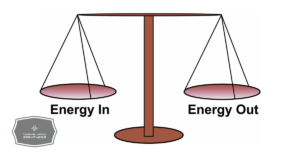 Read more about the article Energy Balance